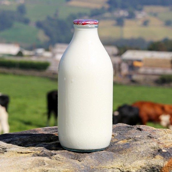 Milk
